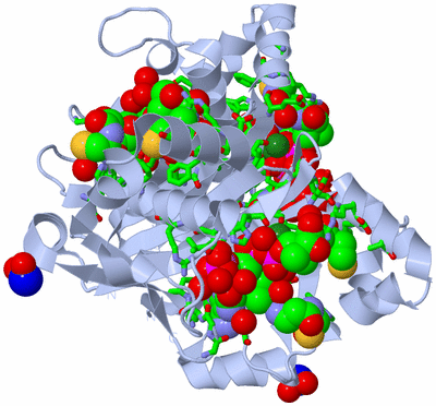 Image Biol. Unit 1 - sites