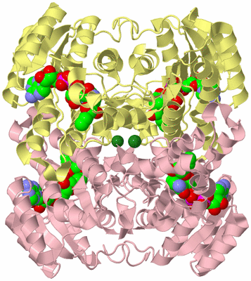 Image Biological Unit 2