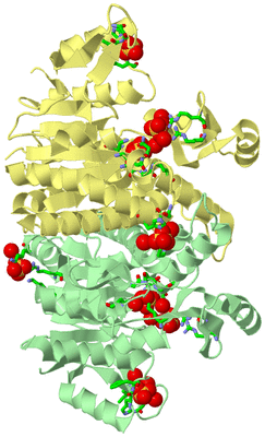 Image Biol. Unit 1 - sites