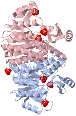 Image Biological Unit 2