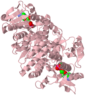 Image Biological Unit 2