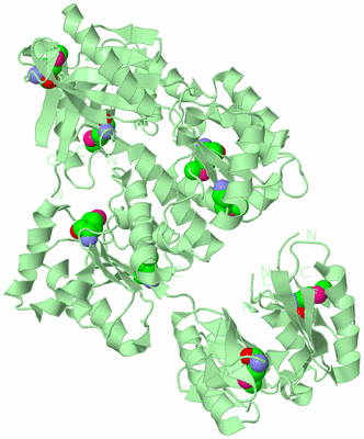 Image Biological Unit 2