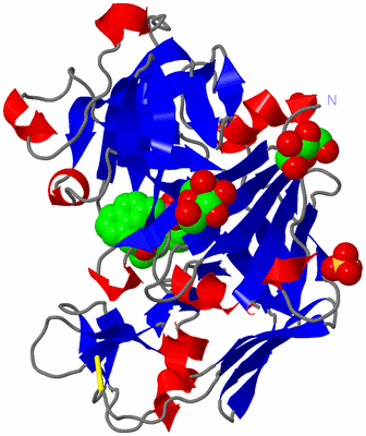 Image Asymmetric Unit