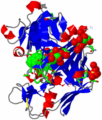 Image Asym. Unit - sites