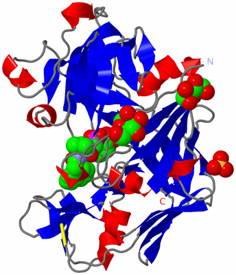 Image Asymmetric Unit