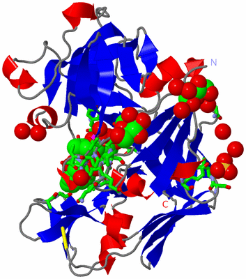 Image Asym. Unit - sites