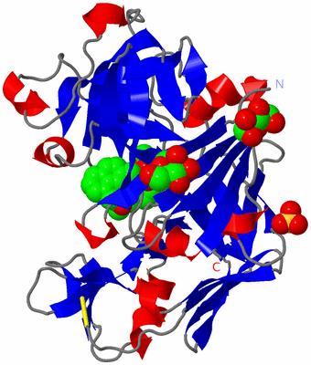 Image Asymmetric Unit