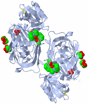 Image Biological Unit 1