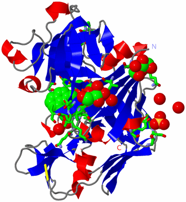 Image Asym. Unit - sites