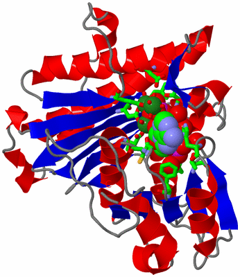 Image Asym./Biol. Unit - sites