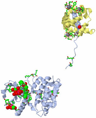 Image Asym./Biol. Unit - sites