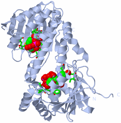 Image Biol. Unit 1 - sites