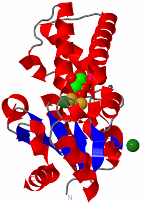 Image Asym./Biol. Unit