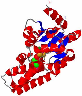 Image Asym./Biol. Unit