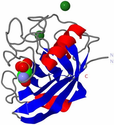 Image Asym./Biol. Unit