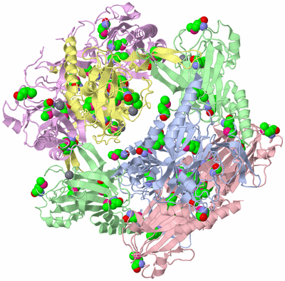 Image Biological Unit 1