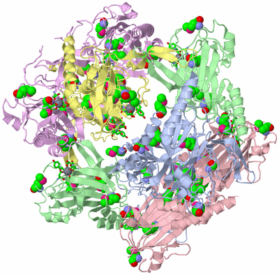 Image Biol. Unit 1 - sites