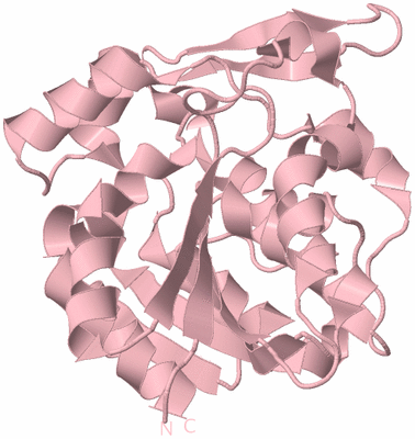 Image Biological Unit 3