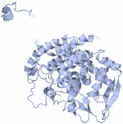 Image Biological Unit 1