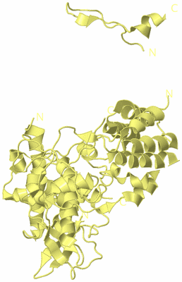 Image Biological Unit 4