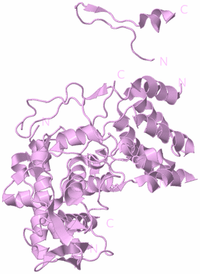 Image Biological Unit 5