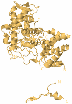 Image Biological Unit 7