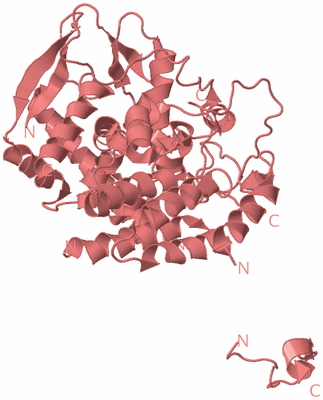 Image Biological Unit 8