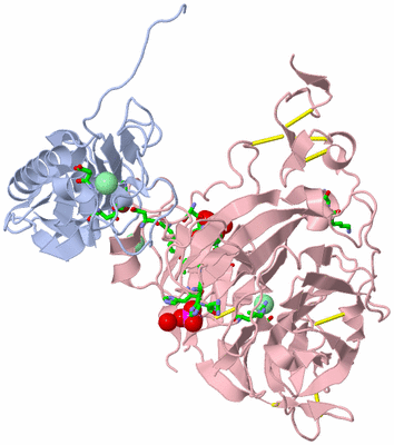 Image Biol. Unit 1 - sites