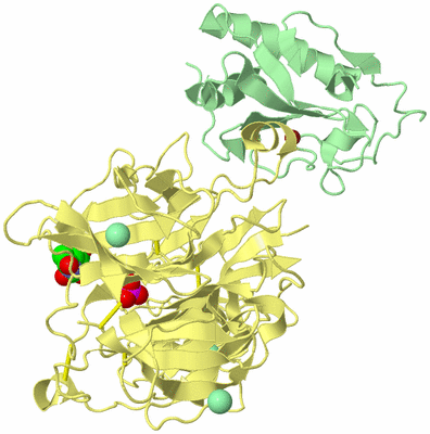 Image Biological Unit 2