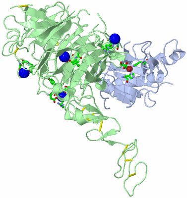 Image Asym./Biol. Unit - sites