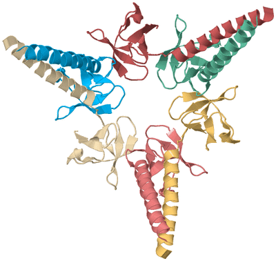 Image Biological Unit 2