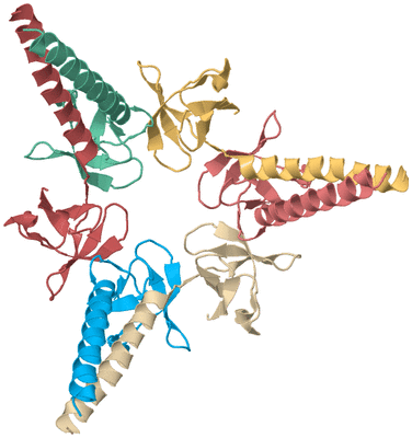 Image Biological Unit 2