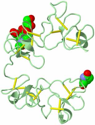 Image Biological Unit 2