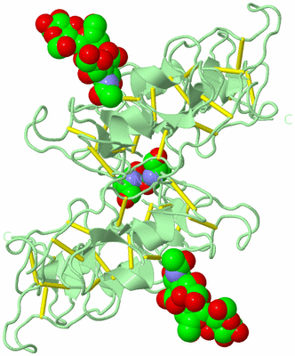 Image Biological Unit 3