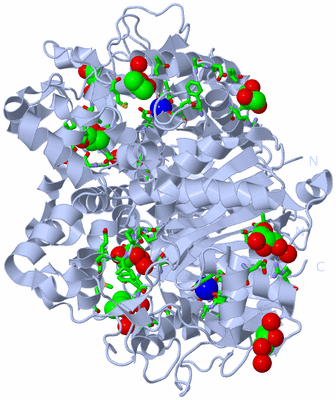 Image Biol. Unit 1 - sites