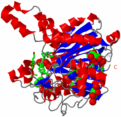 Image Asym. Unit - sites