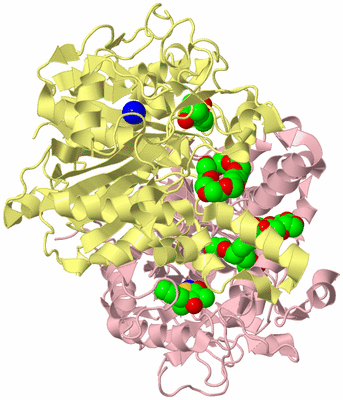 Image Biological Unit 2