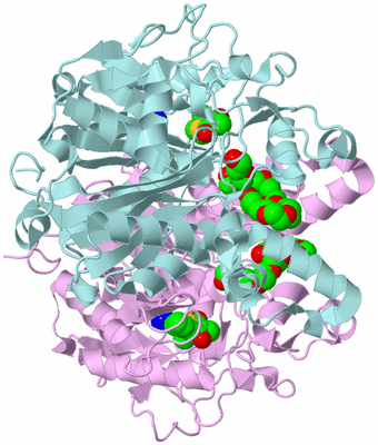 Image Biological Unit 3