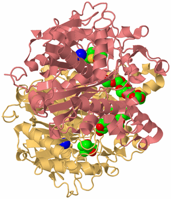 Image Biological Unit 4