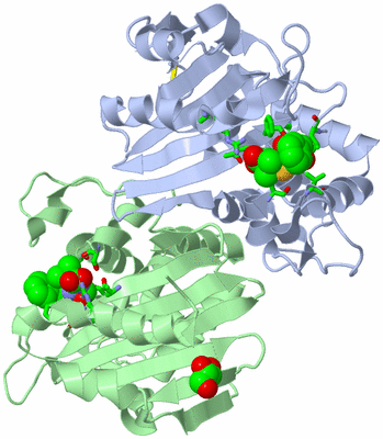 Image Asym./Biol. Unit - sites