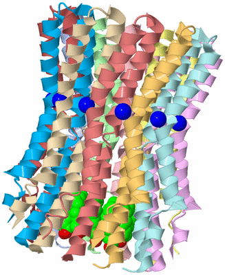 Image Biological Unit 1