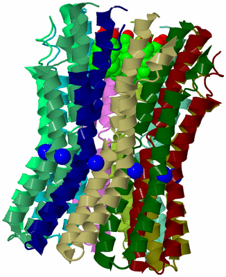 Image Biological Unit 2