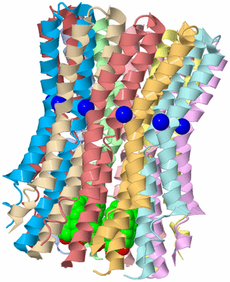 Image Biological Unit 3