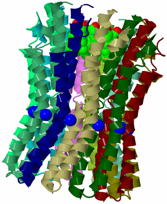 Image Biological Unit 4