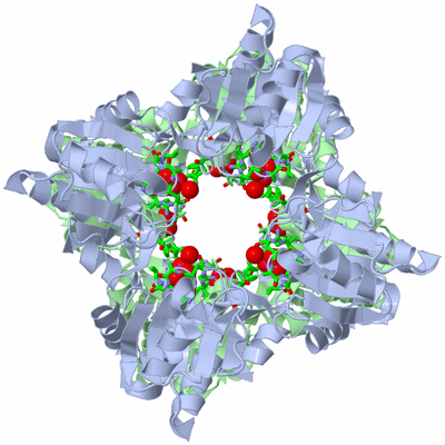 Image Biol. Unit 1 - sites
