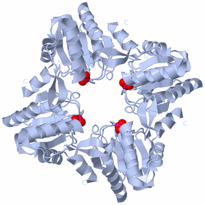 Image Biological Unit 2