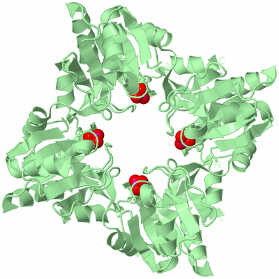 Image Biological Unit 3
