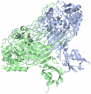 Image Biological Unit 1