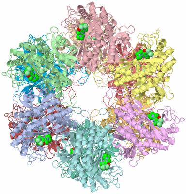 Image Biological Unit 1