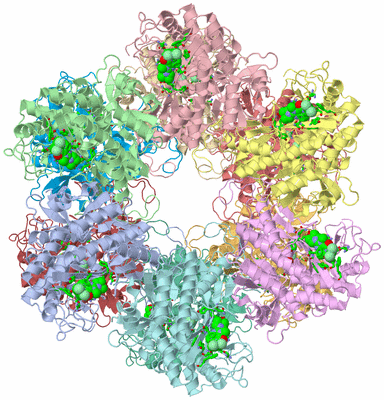 Image Biol. Unit 1 - sites